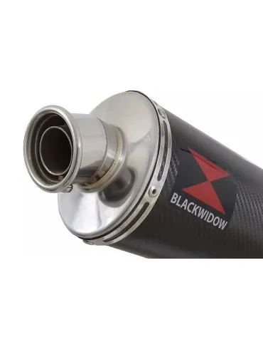 CBR1100 CBR 1100 XX Blackbird 4-1 Ligne complète & Silencieux Ovale En Carbone 300mm