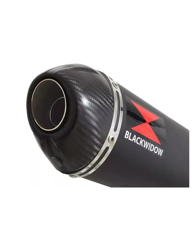 CBR1100 CBR 1100 XX Blackbird 4-1 Ligne complète & Silencieux Ovale Noir En Inox + Carbone Tip 300mm