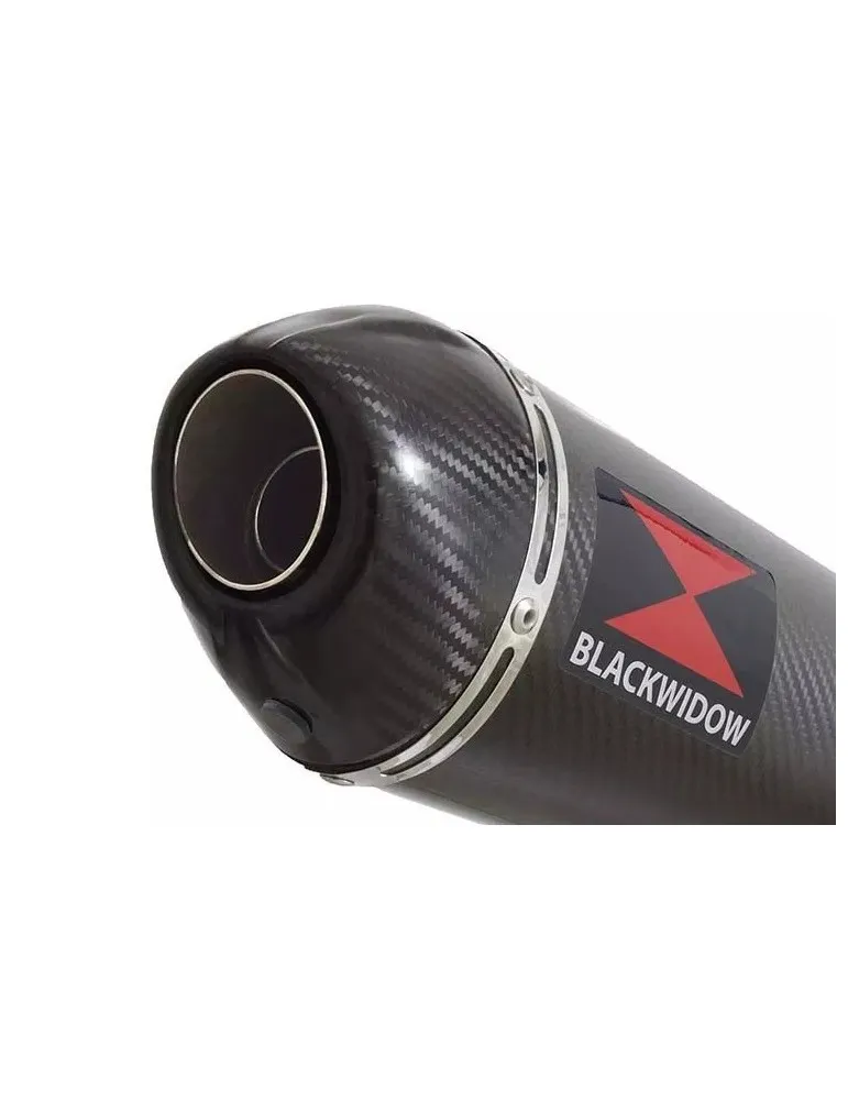 CBR1100 CBR 1100 XX Blackbird 4-1 Ligne complète & Silencieux Ovale En Carbone + Carbone Tip 400mm