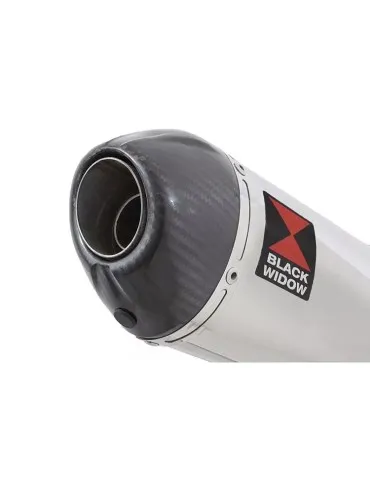 CBR1100 CBR 1100 XX Blackbird 4-1 Ligne complète & Silencieux Ovale En Inox + Carbone Tip 200mm