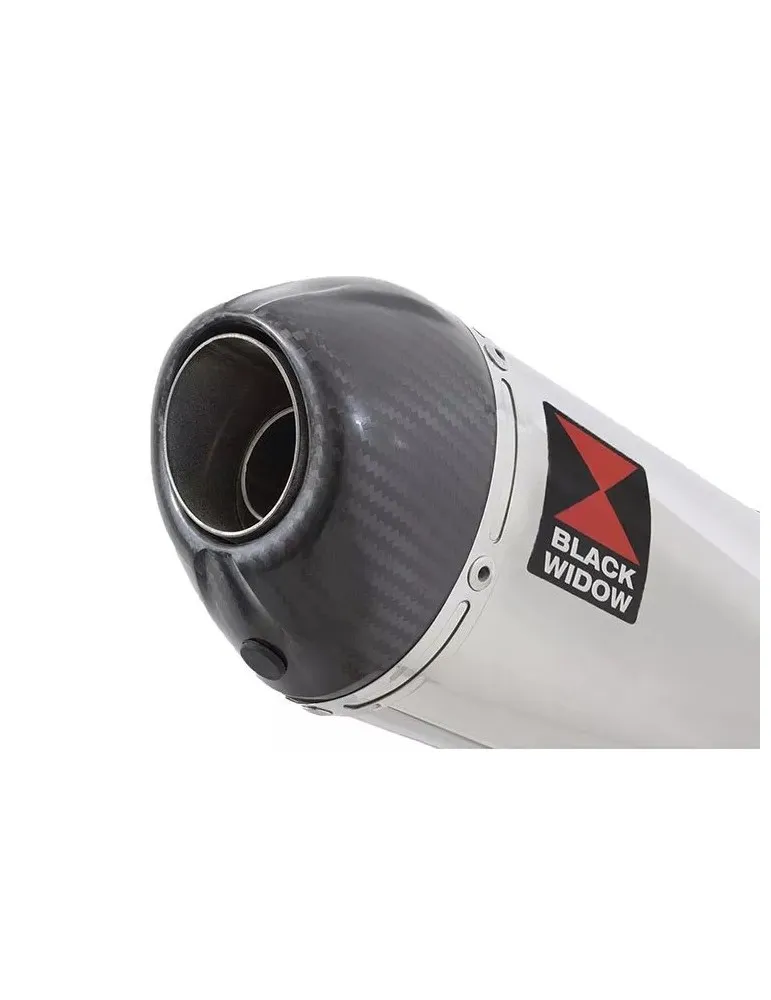 CBR1100 CBR 1100 XX Blackbird 4-1 Ligne complète & Silencieux Ovale En Inox + Carbone Tip 200mm