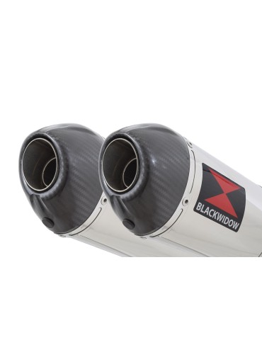 CBR1100 CBR 1100 XX Blackbird 4-2 Tube de raccord et Silencieux Ovale Inox + Carbone tip 400mm