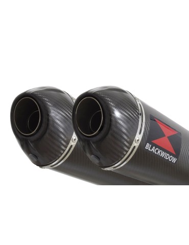 CBR1100 CBR 1100 XX Blackbird 4-2 exhaust tube de raccords et Silencieux Ovale En Carbone + Carbon Tip 300mm