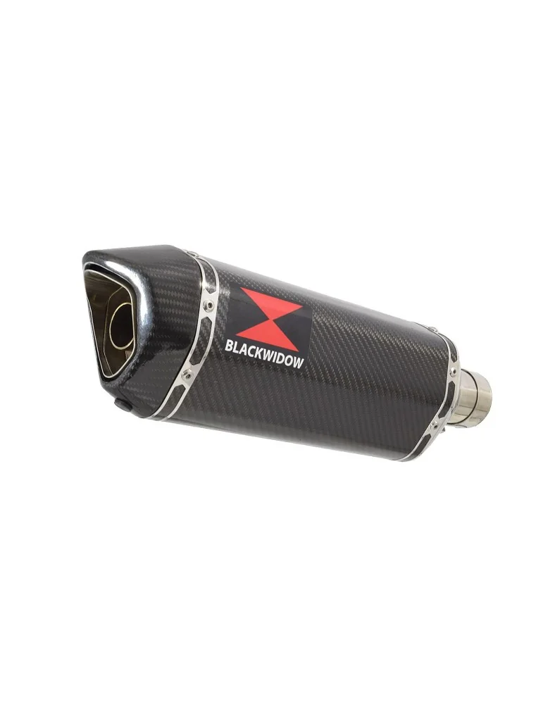 CBF 600 S N 2004 - 2007 (PC38) Exhaust Silencieux Kit Hexagonale En Carbone Silencieux 300mm