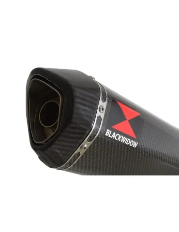 CBF 600 S N 2004 - 2007 (PC38) Exhaust Silencieux Kit Hexagonale En Carbone Silencieux 300mm