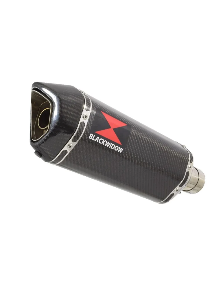 ZX-11 ZX11 4-1 Ligne complète & Silencieux Hexagonale En Carbone 300mm