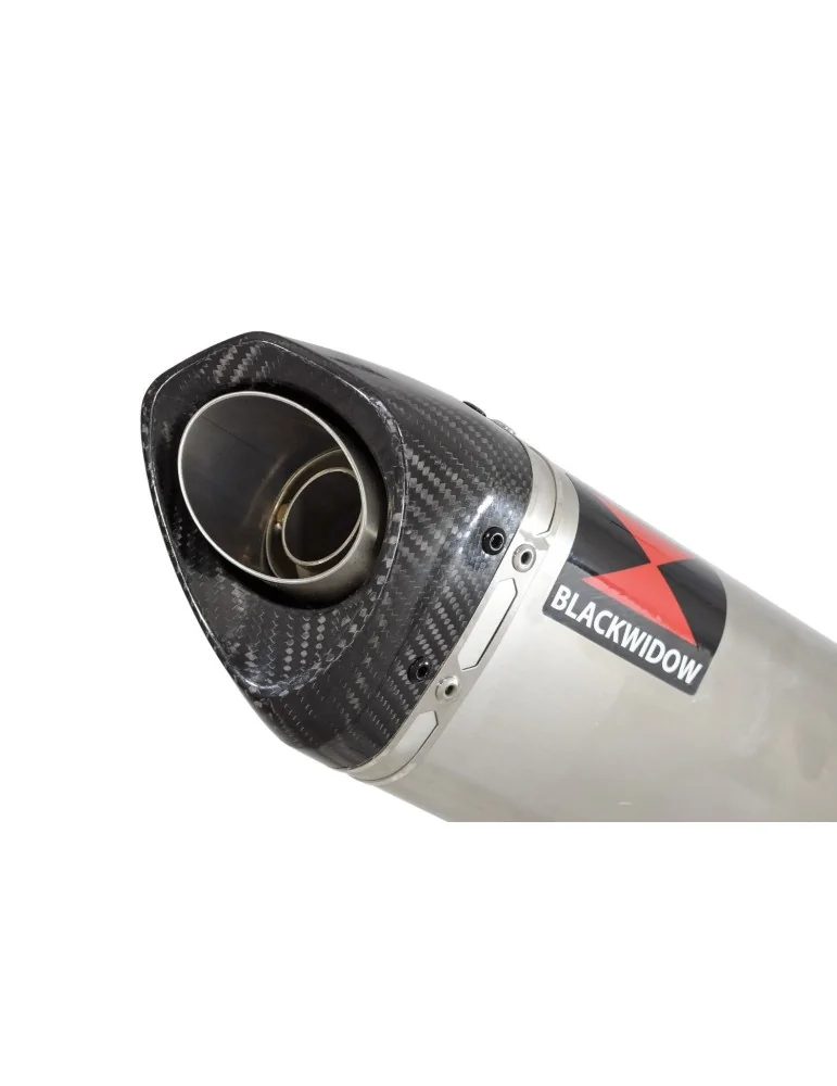 CB600 (PC41) Hornet 07-13 Silencieux & tube de raccord Et Silencieux Tri Ovale Stainless En Carbone 250mm