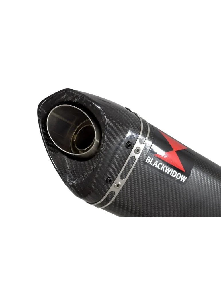 CB600 (PC41) Hornet 07-13 Silencieux & tube de raccord Et Silencieux Tri Ovale En Carbone & Carbone 250mm