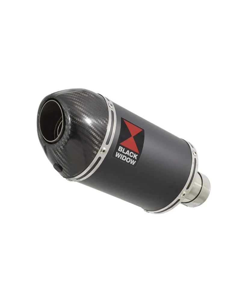ZX-11 4-1 Ligne complète & Silencieux Ovale Noir En Inox + Canule En Carbone 200mm