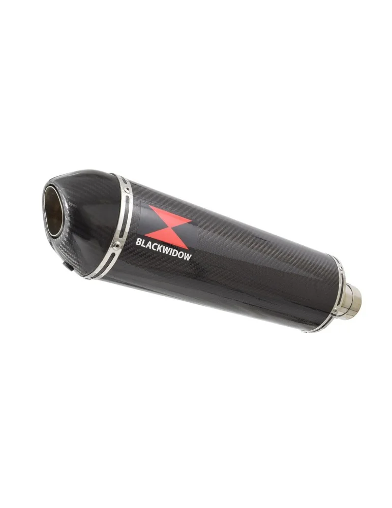 ZX-11 ZX11 4-1 Ligne complète & Silencieux Ovale En Carbone 400mm