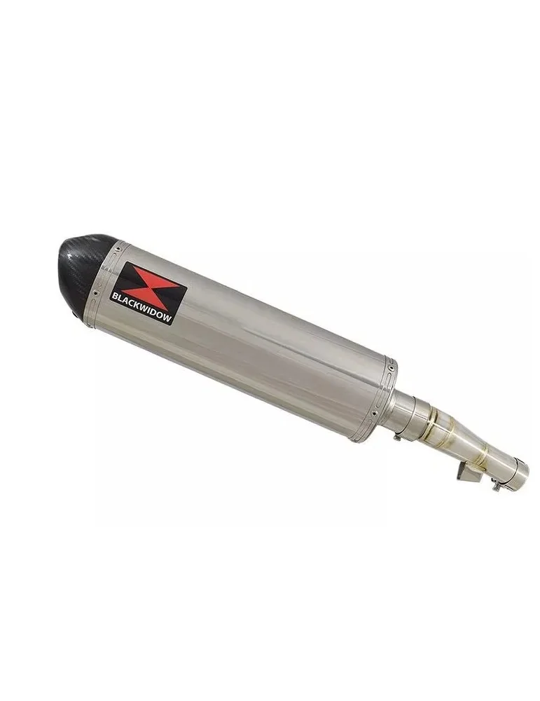 Honda NC 700 S (RC61) 2012-2014 Kit Silencieux : Silencieux Ovale Inox 400mm + Carbone Tip