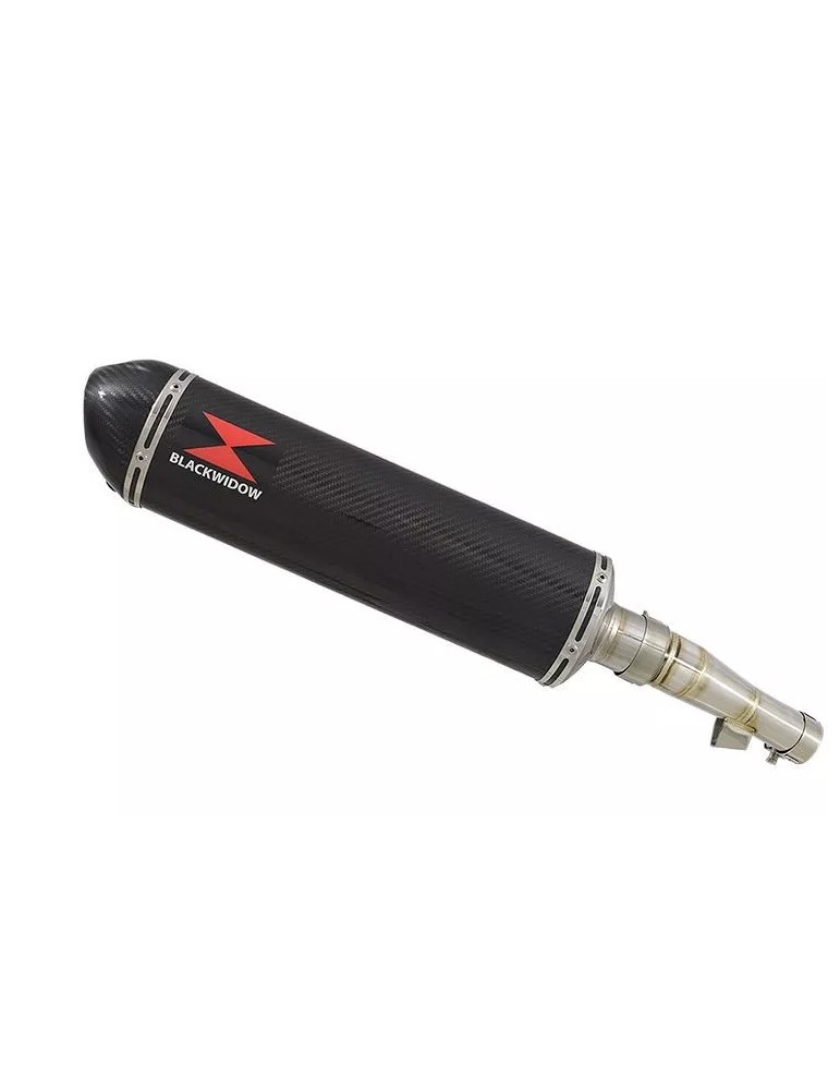 Honda NC 700 S (RC61) 2012-2014 Kit Silencieux : Silencieux Ovale Carbone 400mm + Carbone Tip