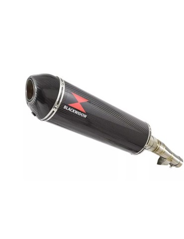 Honda NC 700 S (RC61) 2012-2014 Kit Silencieux : Silencieux Ovale Carbone 400mm + Carbone Tip
