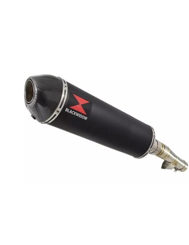 Honda NC 700 S (RC61) 2012-2014 Kit Silencieux : Silencieux Ovale Noir Inox 400mm  + Carbone Tip