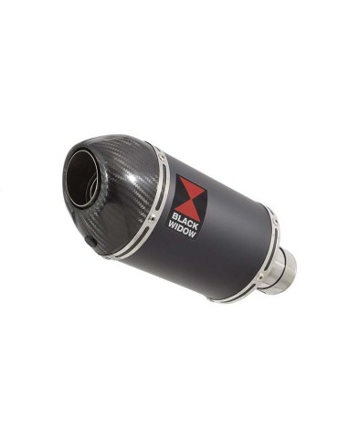 ZX6R ZX-6R 2009/2016 Tube de raccord & Silencieux Ovale Noir En Inox + Canule En Carbone 200mm