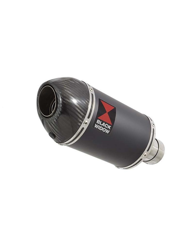 ZX6R ZX-6R 2009/2016 Tube de raccord & Silencieux Ovale Noir En Inox + Canule En Carbone 200mm