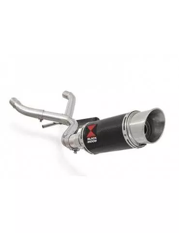 R1150 GS Décatalyseur exhaust collector & Rond En Carbone Silencieux 200mm