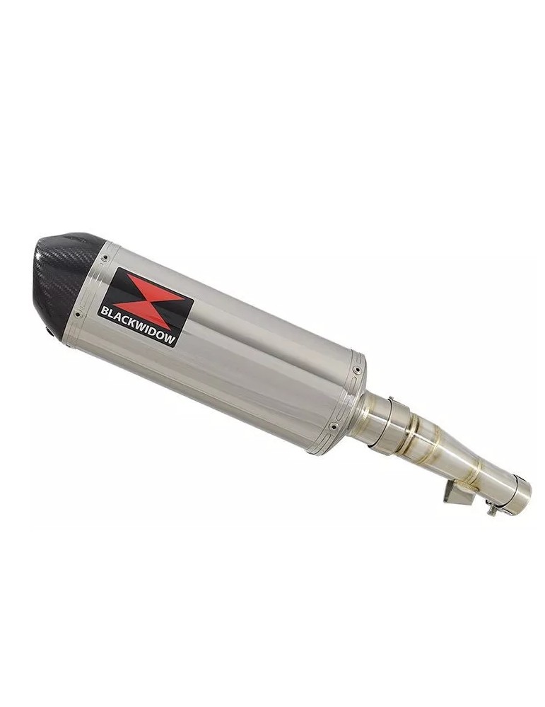 Honda NC 700 S (RC61) 2012-2014 Kit Silencieux: Silencieux Ovale Inox 300mm + Carbone Tip
