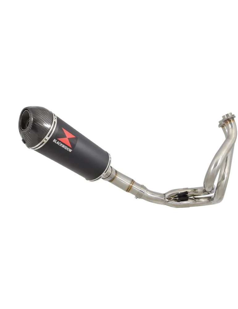Ninja 650 2017 Decata Passage Bas Ligne complète + Silencieux Ovale Noir en Inox & Canule en Carbone 300mm