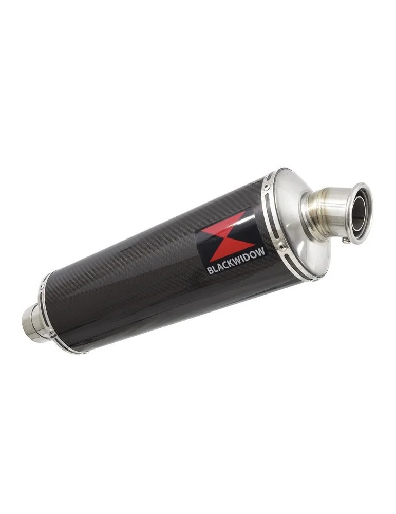 R1150 GS Echappement Sport tube de raccord et Ovale En Carbone Silencieux 400mm