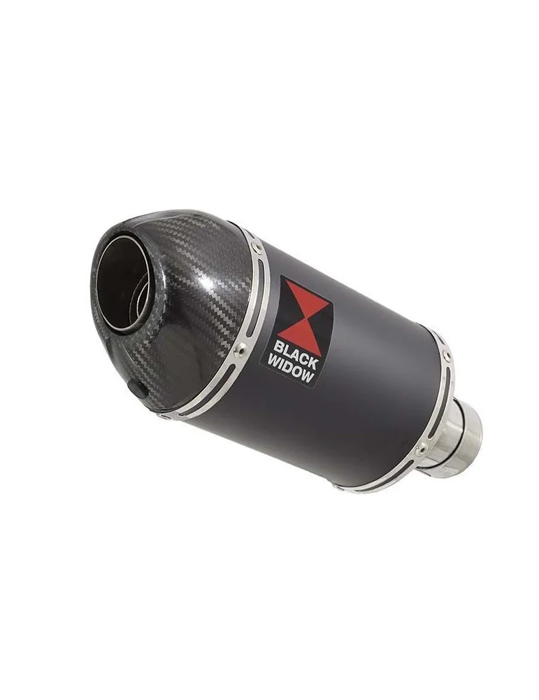 Z750 ZR750 Z750S 04 05 06 Tube de raccord et Silencieux Ovale Noir En Inox + Canule En Carbone 200mm