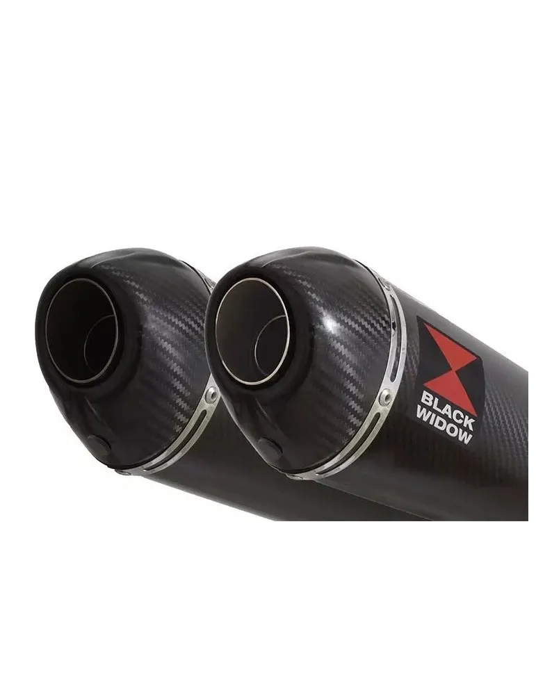 GPZ 500 (EX500) 2-2 Silencieux Ovale En Carbone + Canule en Carbone 200mm