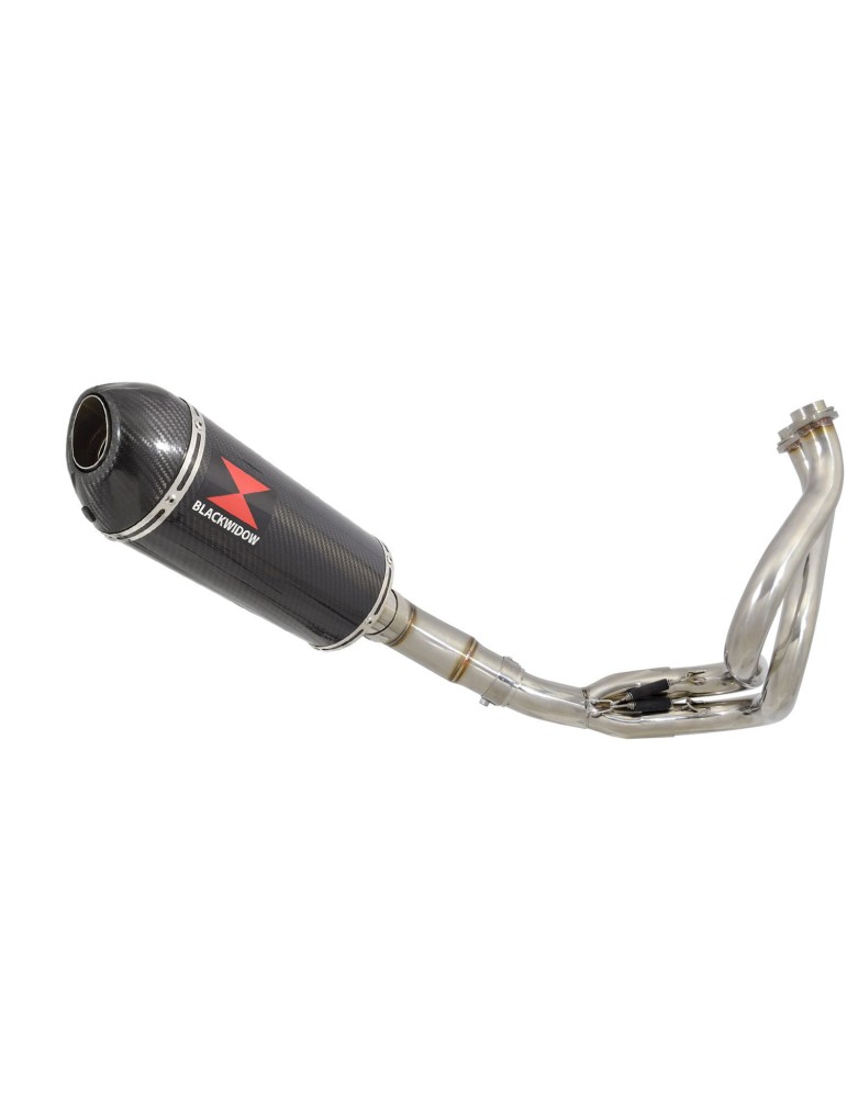 Kawasaki ER-6N ER-6F ER650E 2012-2017 Decata Ligne complète + Silencieux Ovale en Carbone + Carbone 300mm