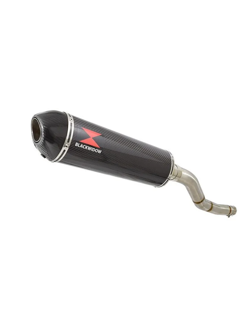 Kawasaki ER-6N ER-6F ER650 2005-2011 Passage Haut Tube de raccord et Silencieux Ovale En Carbone + Carbone 400mm