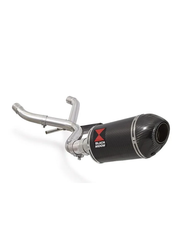 R1150 GS Décatalyseur exhaust collector & Ovale En Carbone Silencieux + carbon tip 200mm