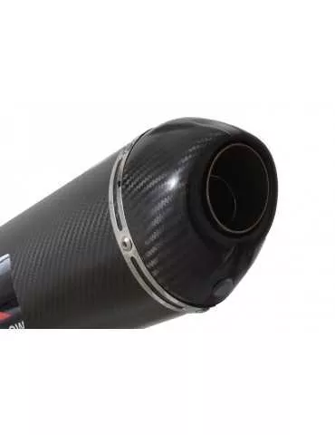 R1150 GS Décatalyseur exhaust collector & Ovale En Carbone Silencieux + carbon tip 200mm