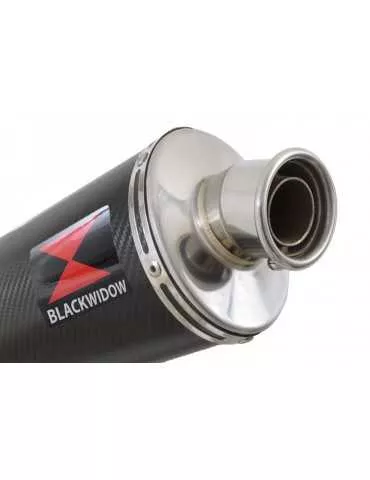 R1150 GS exhaust tube de raccord et Ovale En Carbone Silencieux 300mm