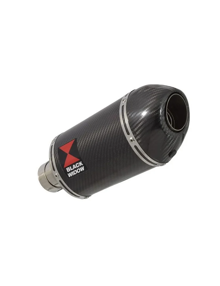 R1150 GS tube de raccord et Ovale En Carbone Silencieux + carbon 200mm