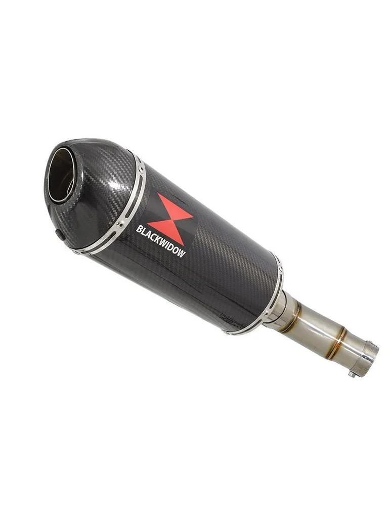 Kawasaki ER-6N ER-6F ER650 2005-2011 Passage Bas Tube de raccord et Silencieux Ovale En Carbone + Carbone 300mm