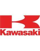 Kawasaki