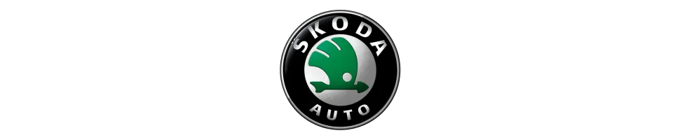 Downpipe / Décatalyseurs / Catalyseurs Sport Skoda