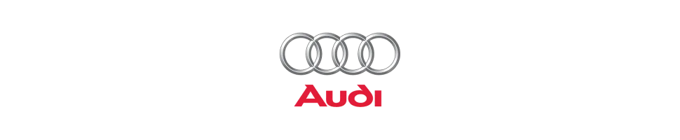 Filtre Green AUDI