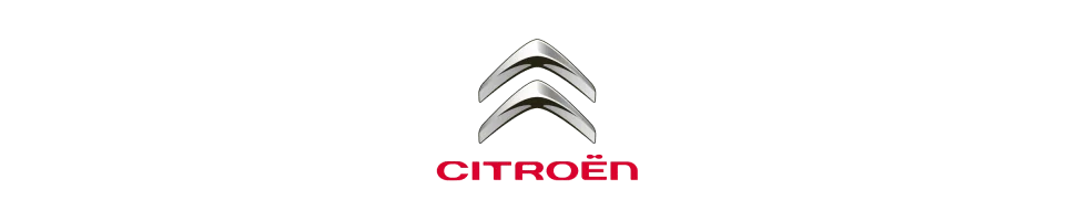 Filtre Green CITROEN