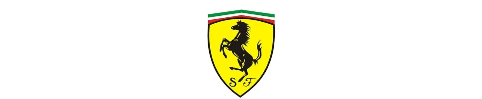Filtre Green FERRARI