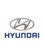 Filtre Green HYUNDAI