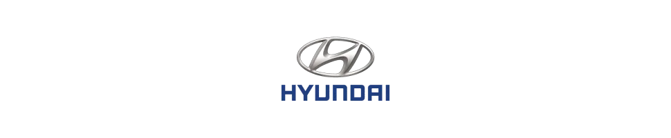 Filtre Green HYUNDAI