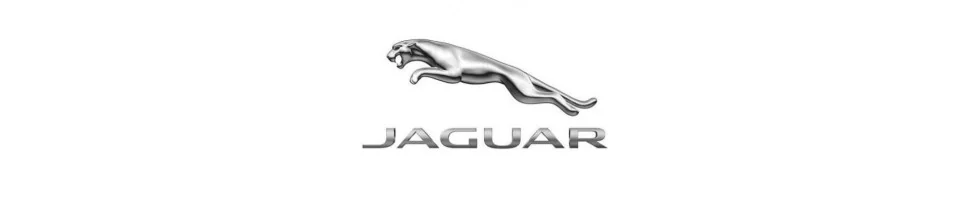 Filtre Green JAGUAR