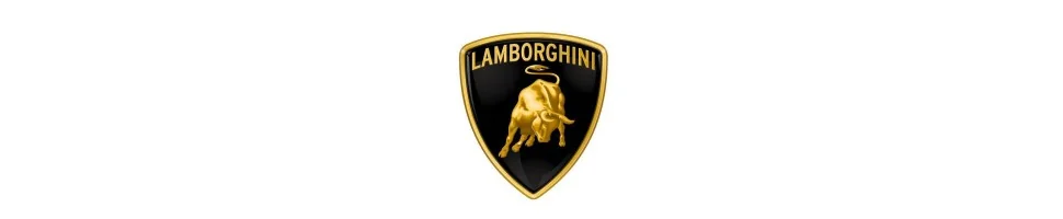 Filtre Green LAMBORGHINI