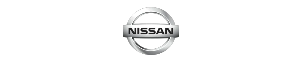 Filtre Green NISSAN