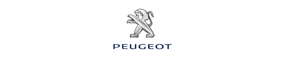 Filtre Green PEUGEOT