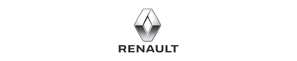 Filtre Green RENAULT