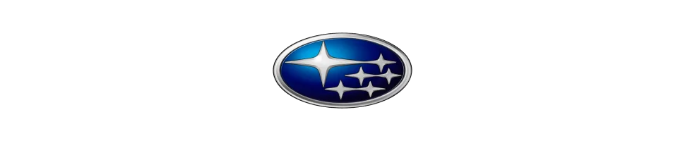 Filtre Green SUBARU