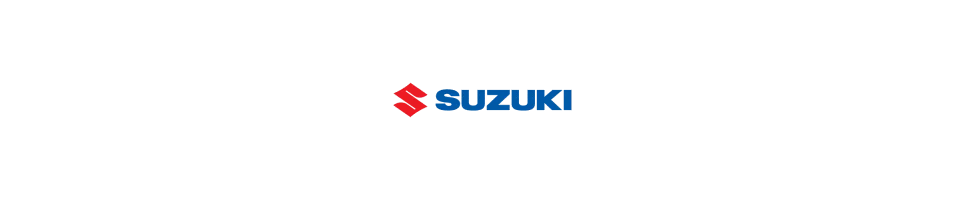Filtre Green SUZUKI