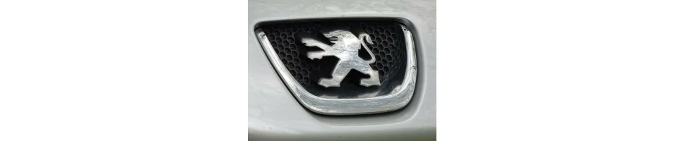 RCZ