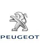 Peugeot / Citroën