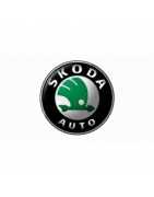 Kits d'admission direct et dynamique  SKODA